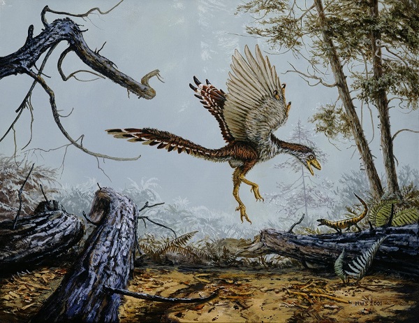 famille des théropodes